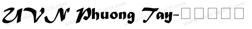 UVN Phuong Tay字体转换